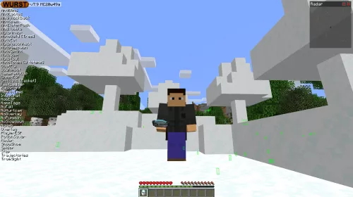 Using the SnowShoe hack to walk on powder snow without wearing any armor.